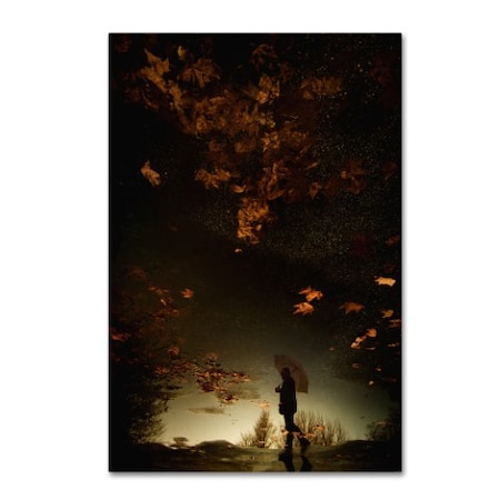 Antonio Grambone 'Autumn' Canvas Art,16x24